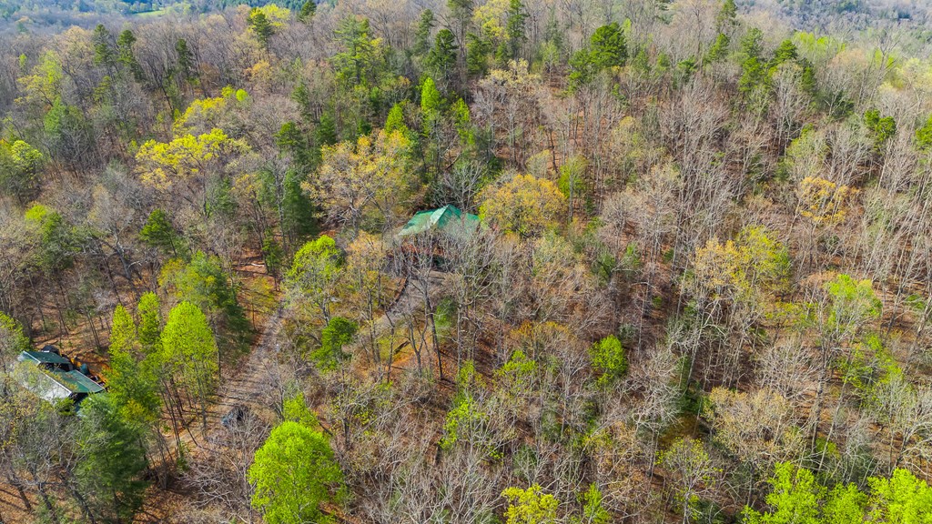 138 Wolf Print Ridge Murphy, NC 28906 - Photo 60 of 60