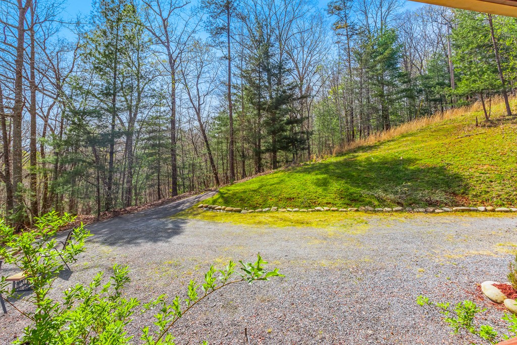 138 Wolf Print Ridge Murphy, NC 28906 - Photo 9 of 60