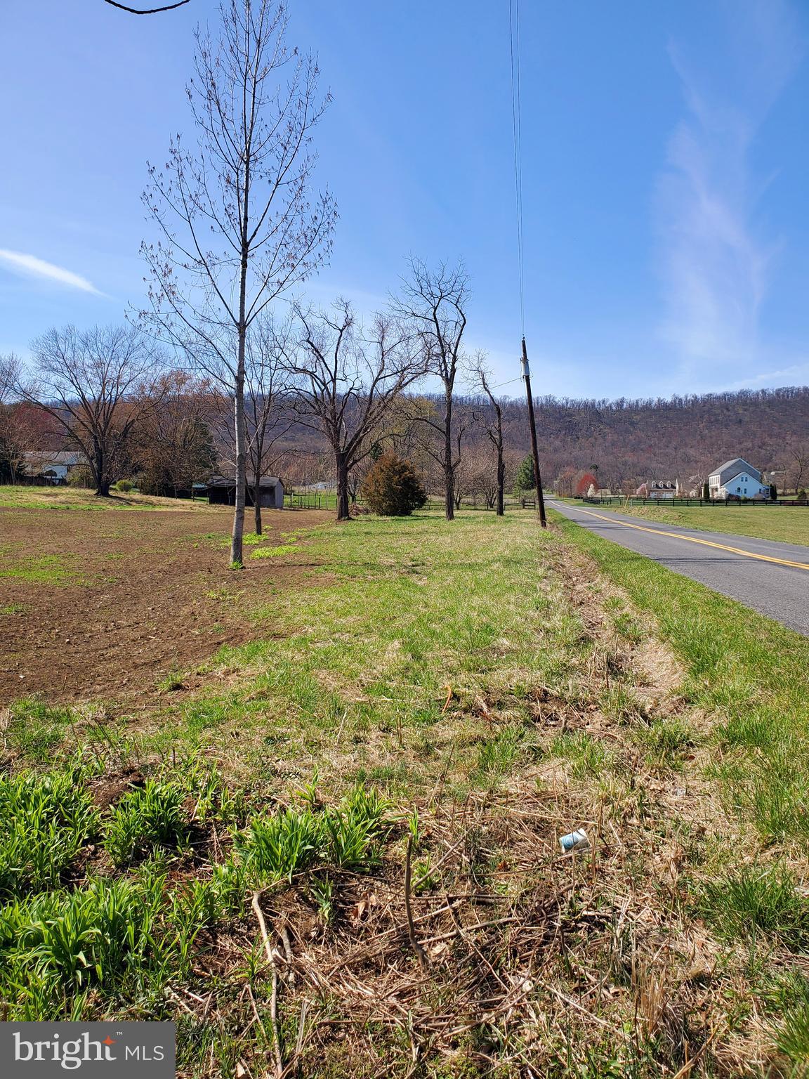 631 Miller Road Winchester, VA 22602 - Photo 4 of 43 road frontage view from driveway entrance