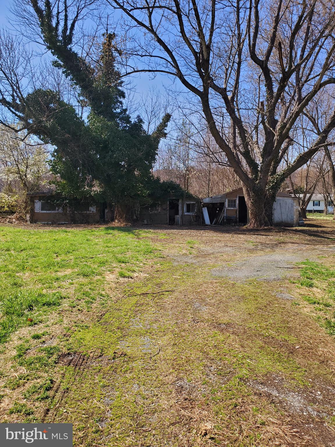631 Miller Road Winchester, VA 22602 - Photo 36 of 43 out buildings behind dwelling