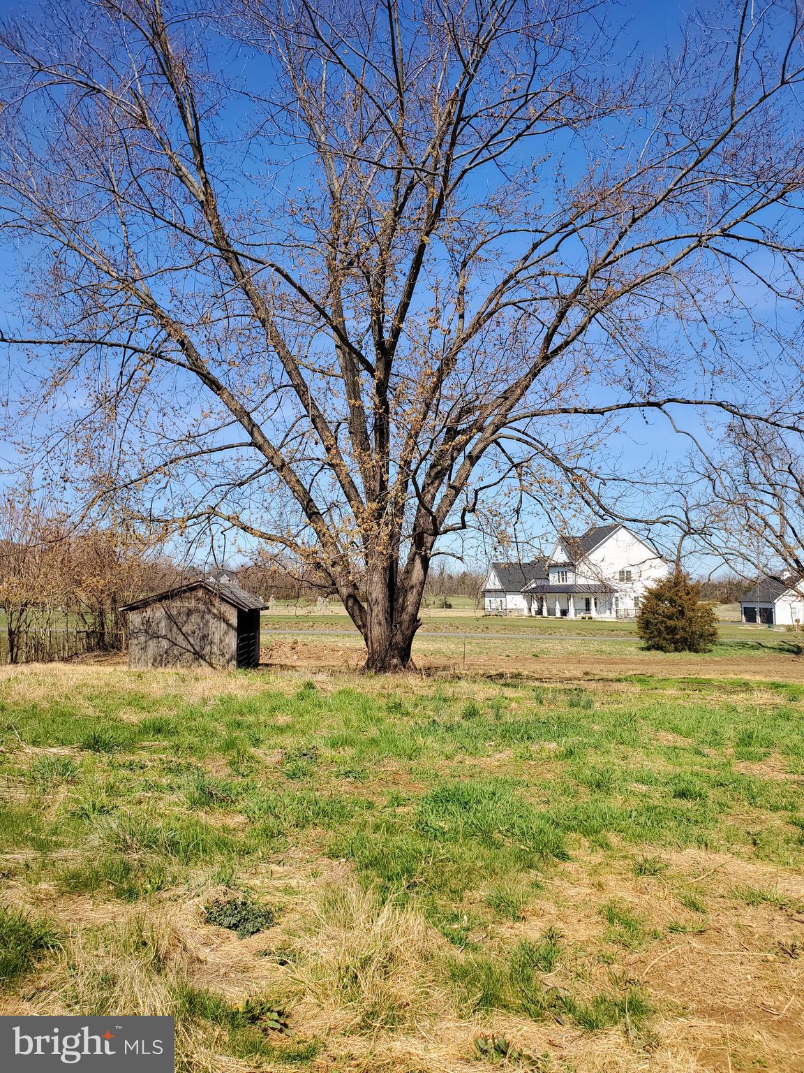 631 Miller Road Winchester, VA 22602 - Photo 38 of 43 right yard from back of property