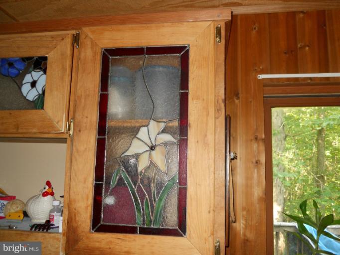206 Windswept Road Mineral, VA 23117 - Photo 10 of 19 Interior (General)