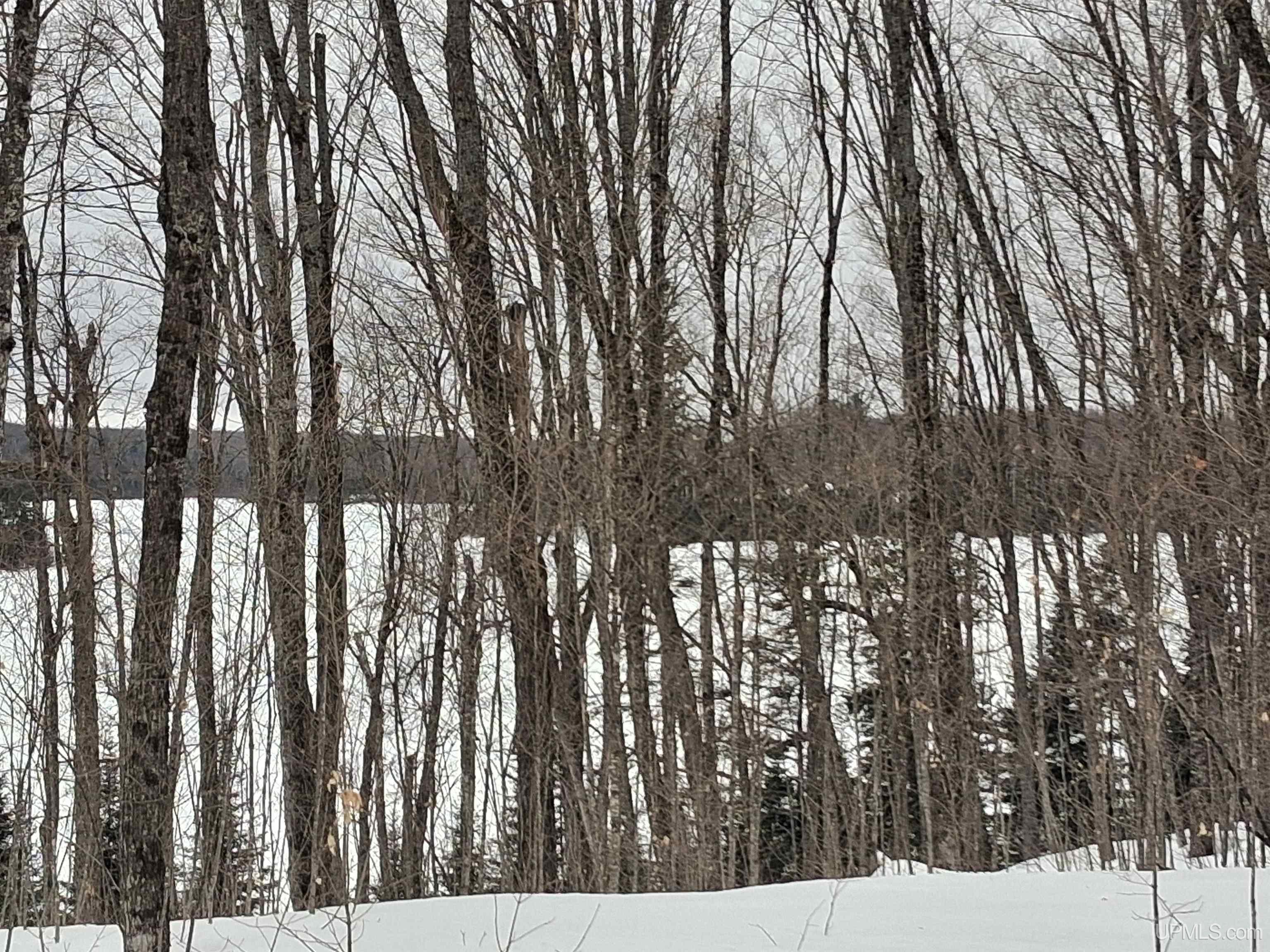 Lot 7 Fence Lake Road Republic, MI 49879 - Photo 18 of 21