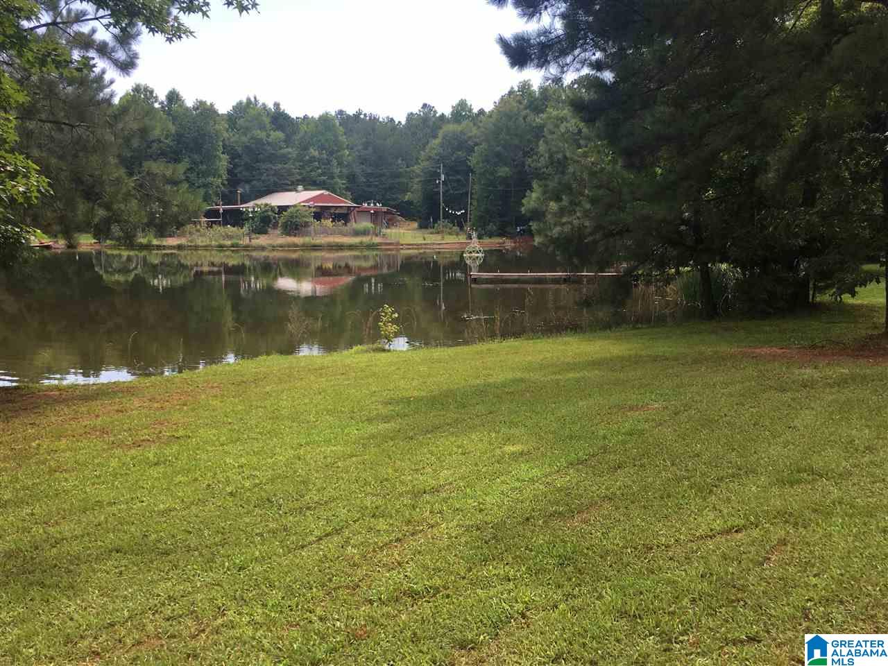 9276 County Road 2 Waverly, AL 36879 - Photo 30 of 38