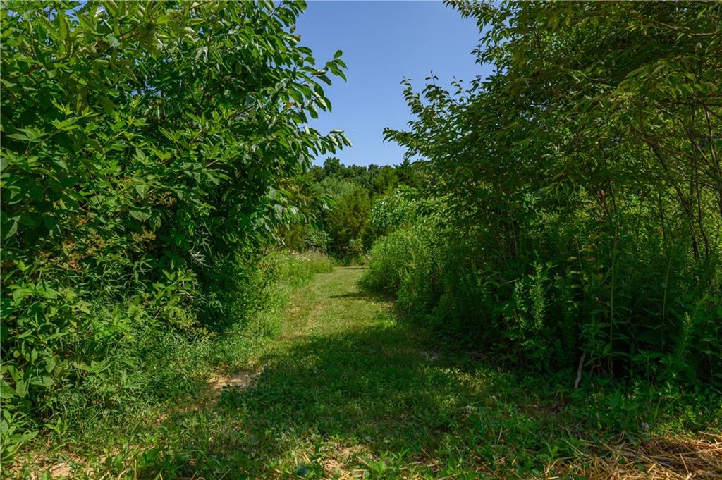7429 Keith Donaldson Road Freetown, IN 47235 - Photo 35 of 59