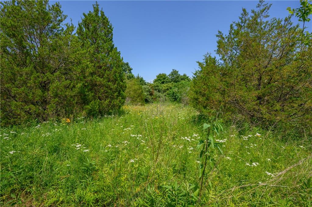 7429 Keith Donaldson Road Freetown, IN 47235 - Photo 36 of 59