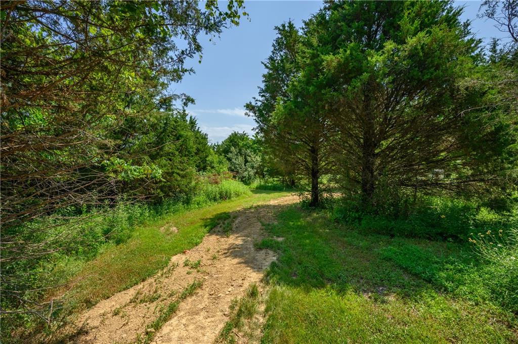 7429 Keith Donaldson Road Freetown, IN 47235 - Photo 39 of 59