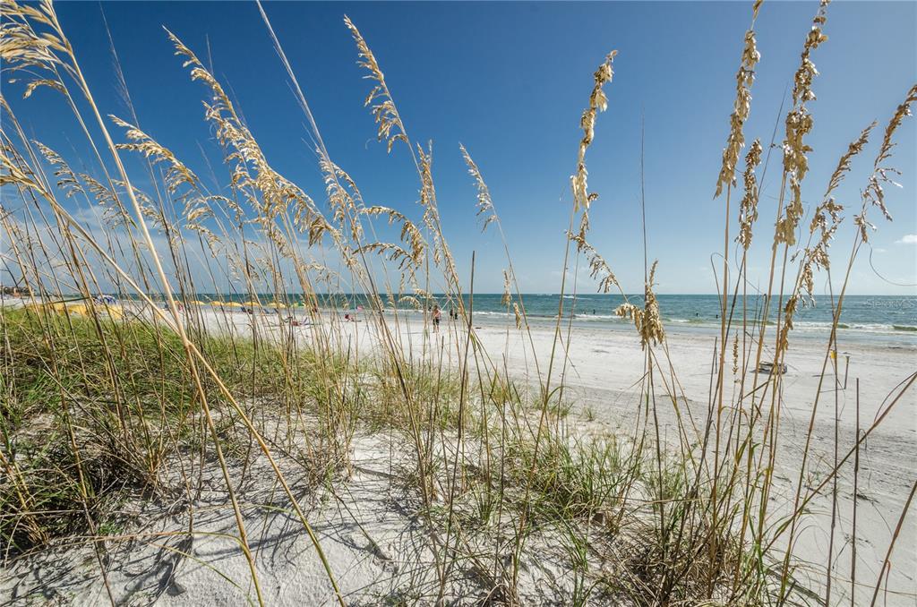 16200 Gulf Boulevard Redington Beach, FL 33708 - Photo 8 of 11 a view of a lake
