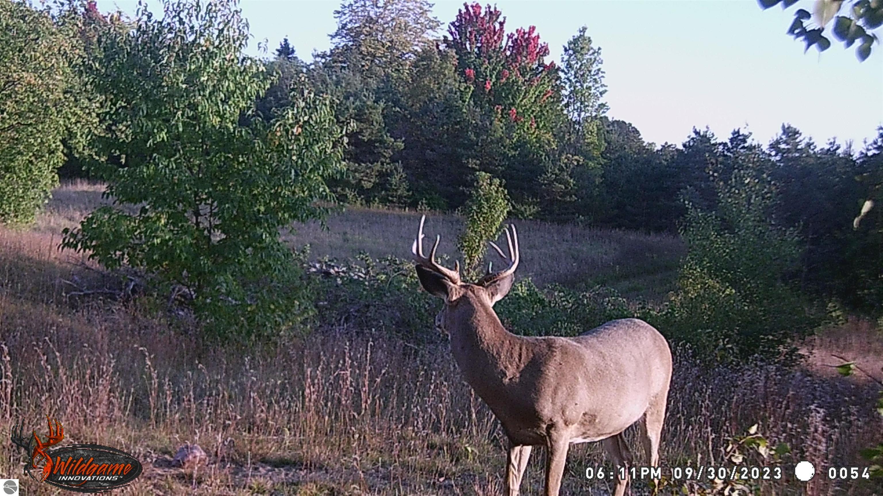 18 East 1/2 Road Manton, MI 49663 - Photo 7 of 13