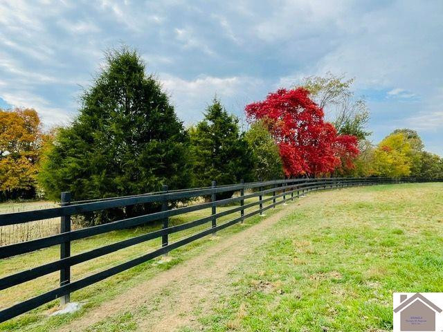 782 Bid Southern Road Tiline, KY 42083 - Photo 30 of 47 Fencerow