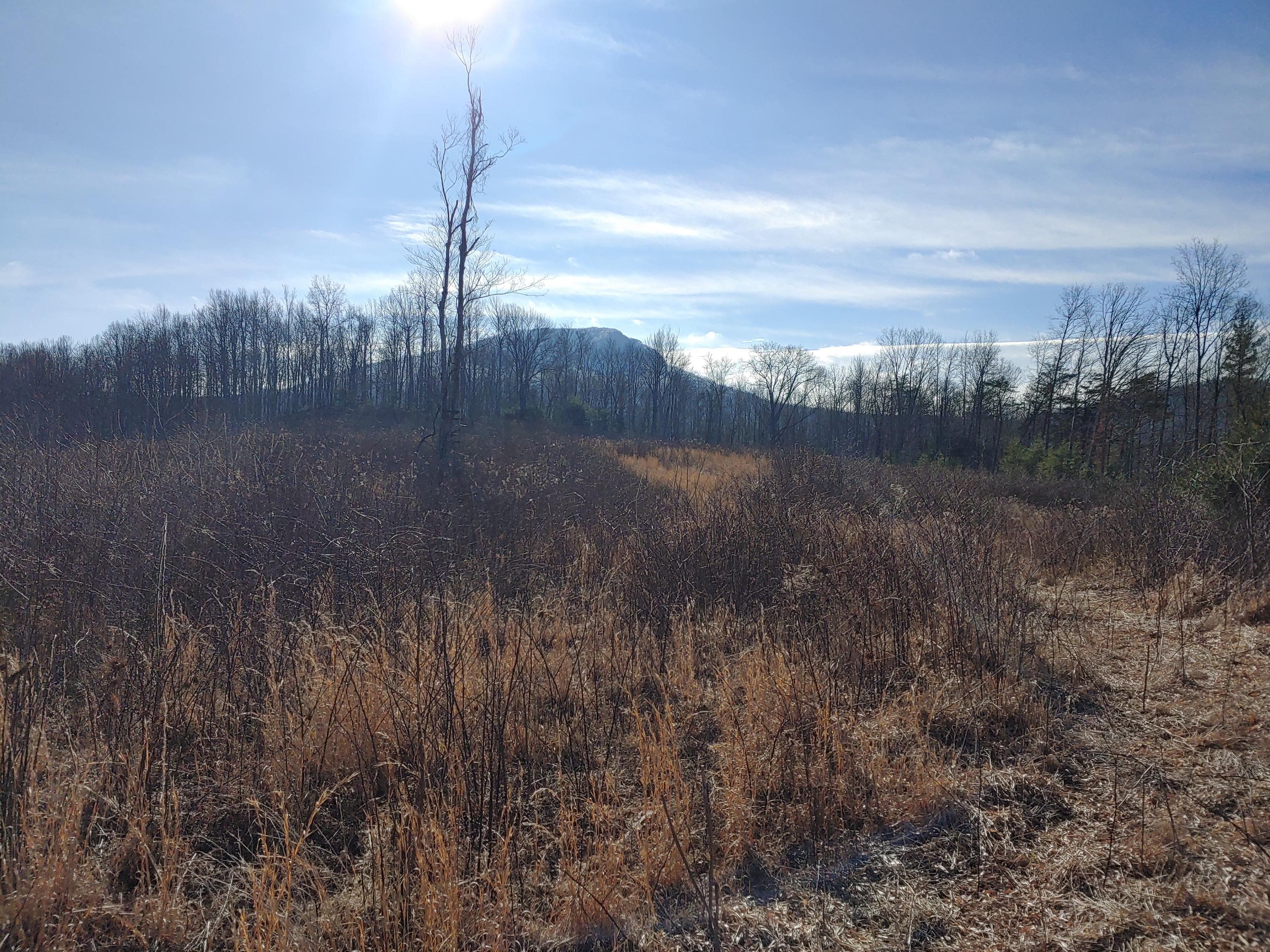 815 Boone Road Southwest Willis, VA 24380 - Photo 11 of 24 11