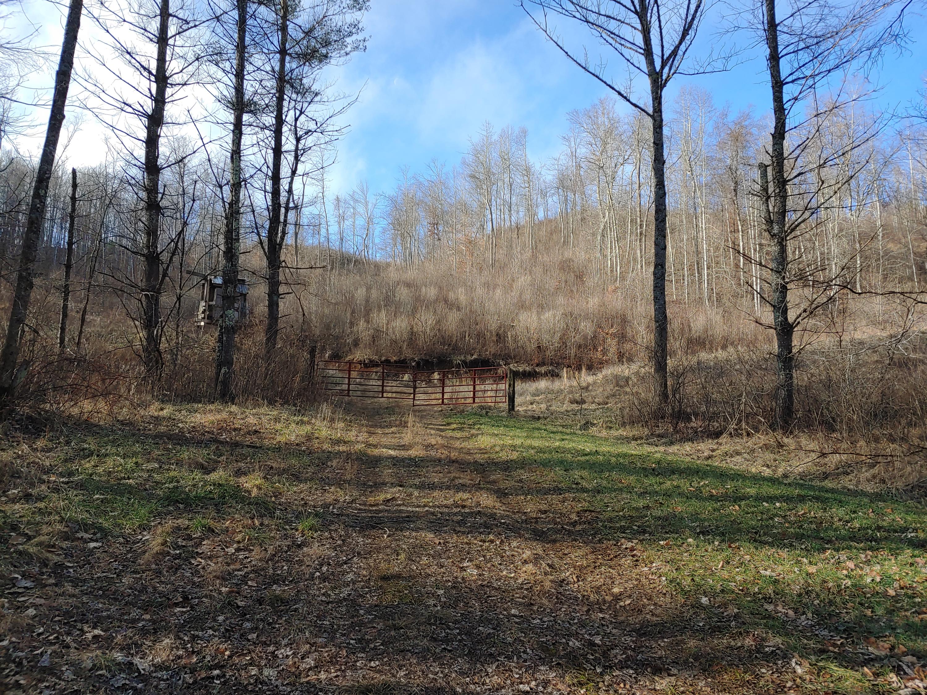 815 Boone Road Southwest Willis, VA 24380 - Photo 2 of 24 2