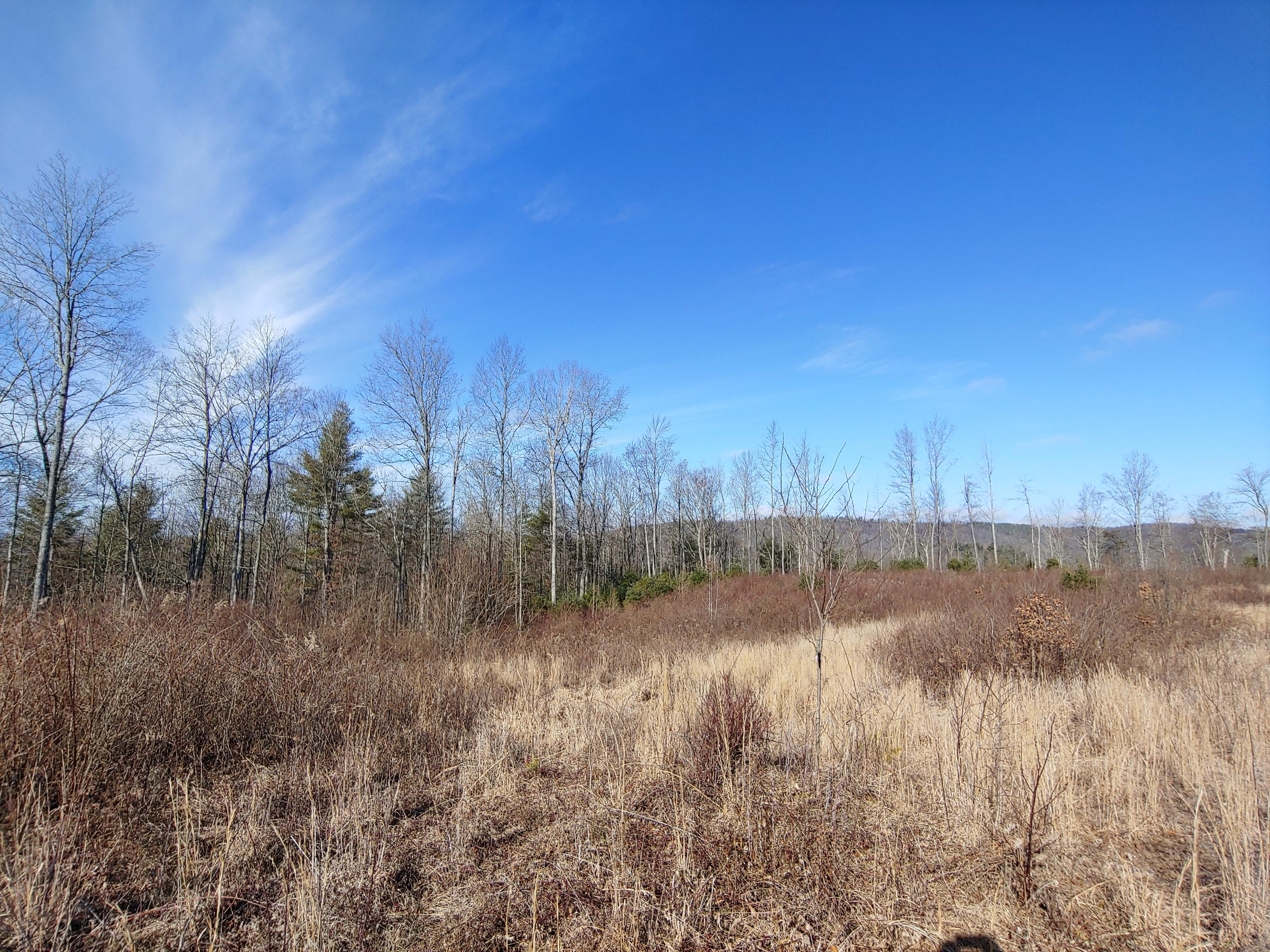 815 Boone Road Southwest Willis, VA 24380 - Photo 23 of 24 23