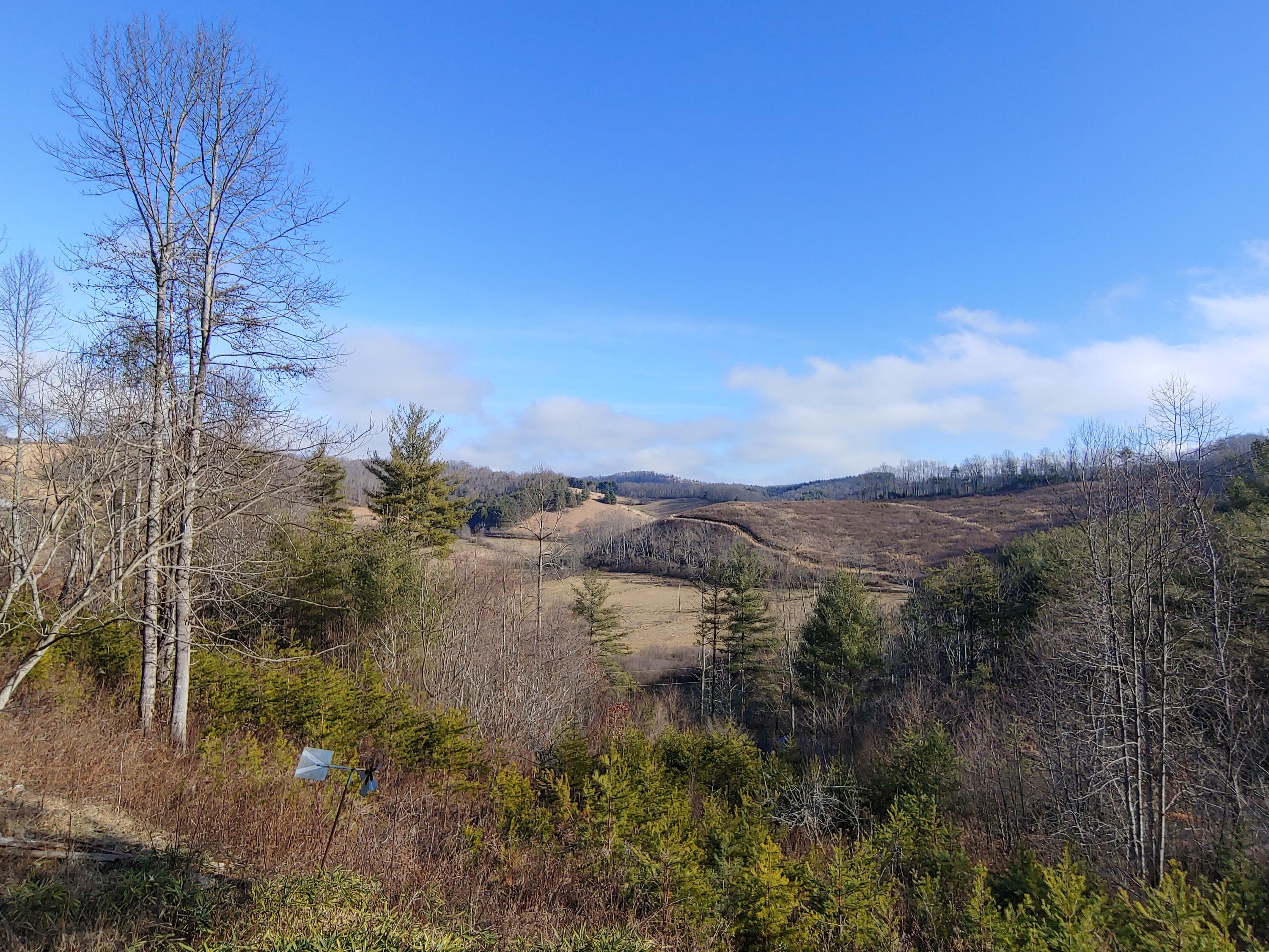 815 Boone Road Southwest Willis, VA 24380 - Photo 3 of 24 3