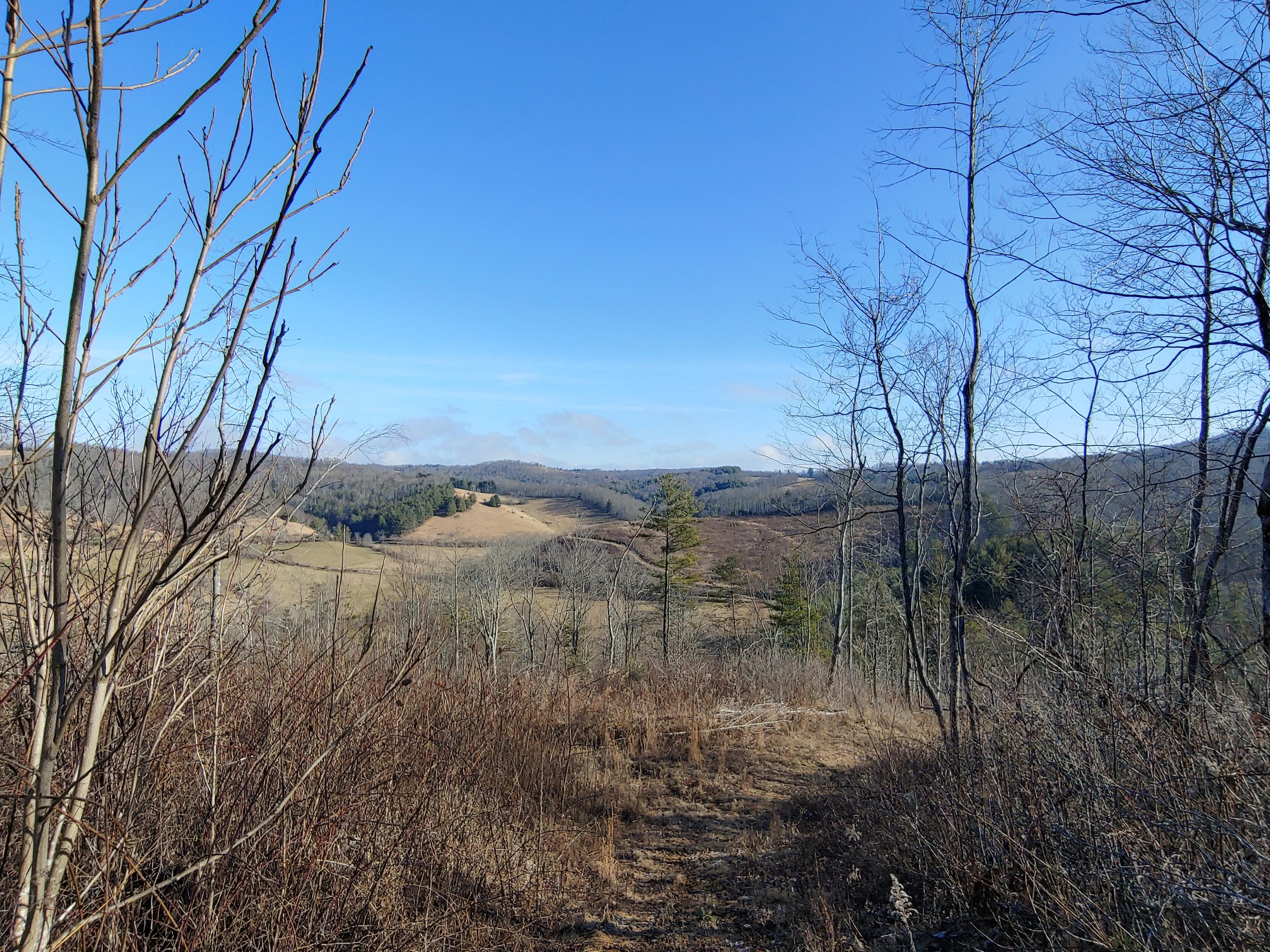 815 Boone Road Southwest Willis, VA 24380 - Photo 8 of 24 8