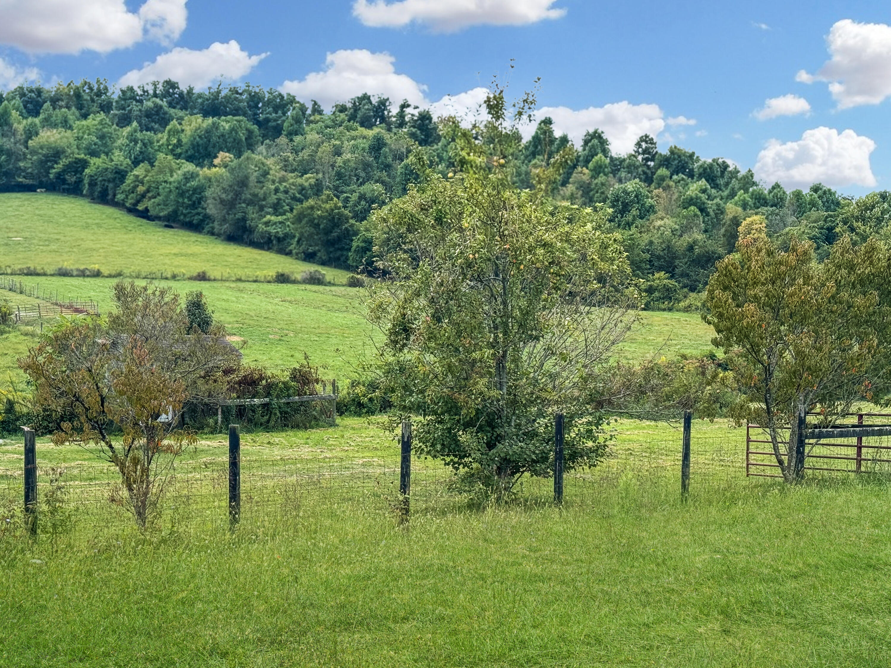 4181 Scaffold Cane Road Mount Vernon, KY 40456 - Photo 6 of 65 674f2587a34c4aaf765d268ea7732d56a6947387