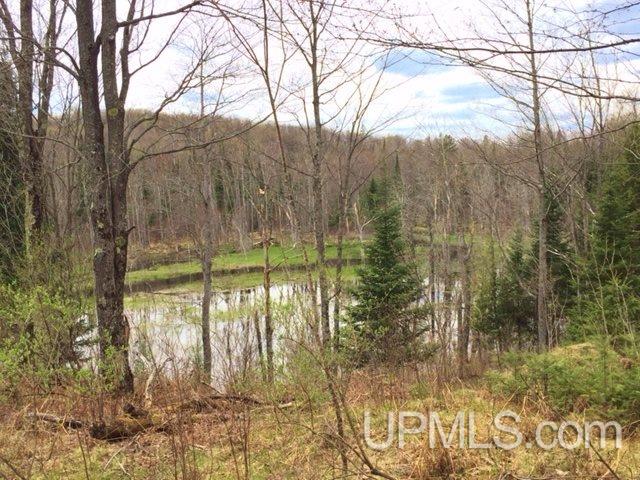 Tbd Carpenter Road Crystal Falls, MI 49920 - Photo 16 of 21