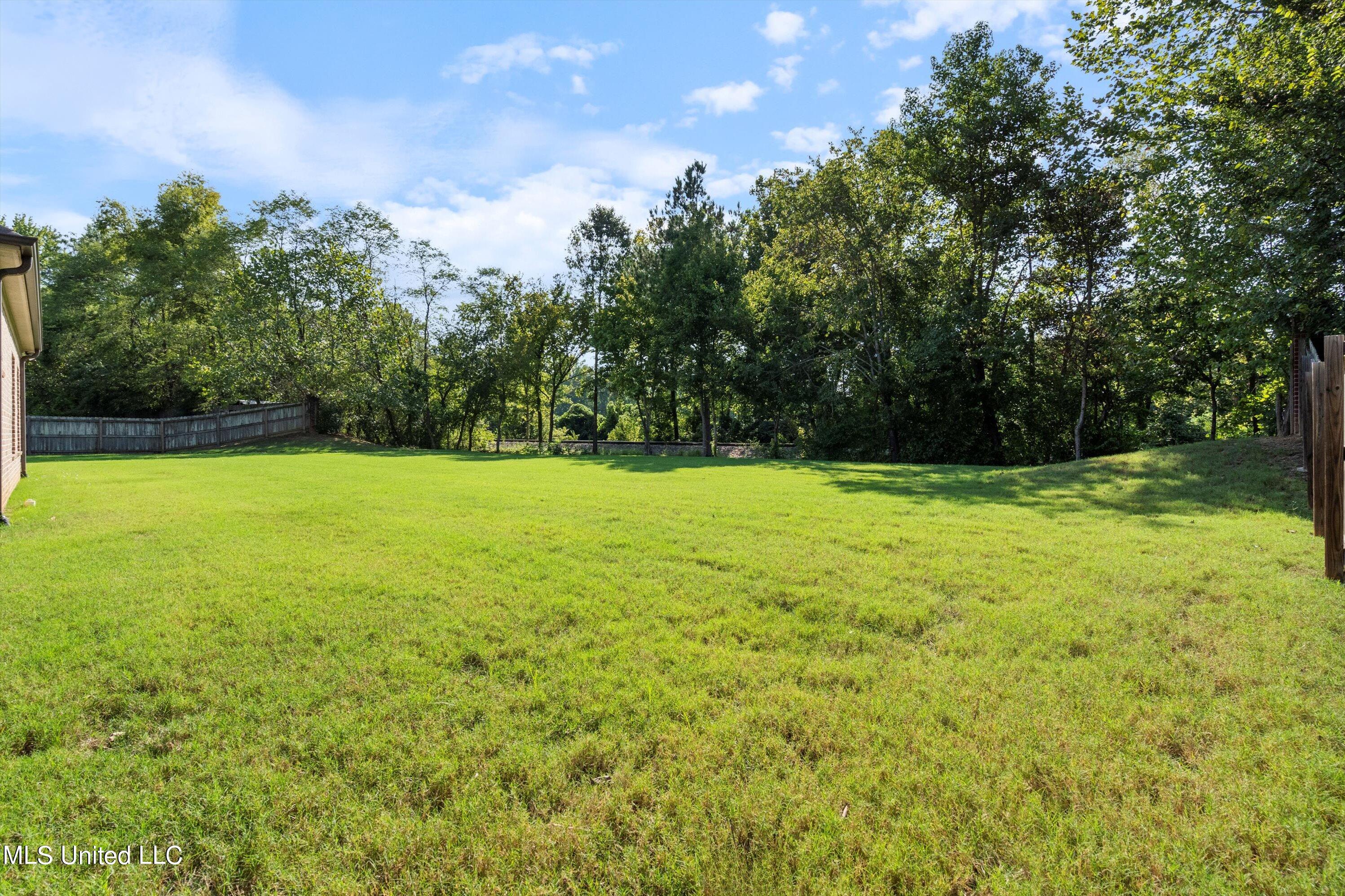 653 Ridge View Drive Hernando, MS 38632 - Photo 39 of 42 41-DSC4045