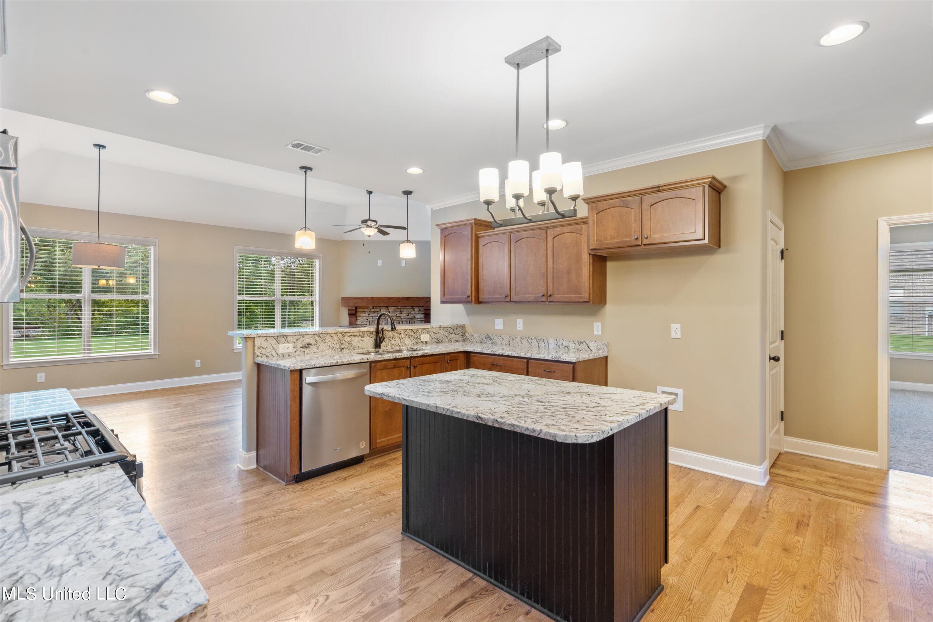653 Ridge View Drive Hernando, MS 38632 - Photo 8 of 42 09-DSC3866