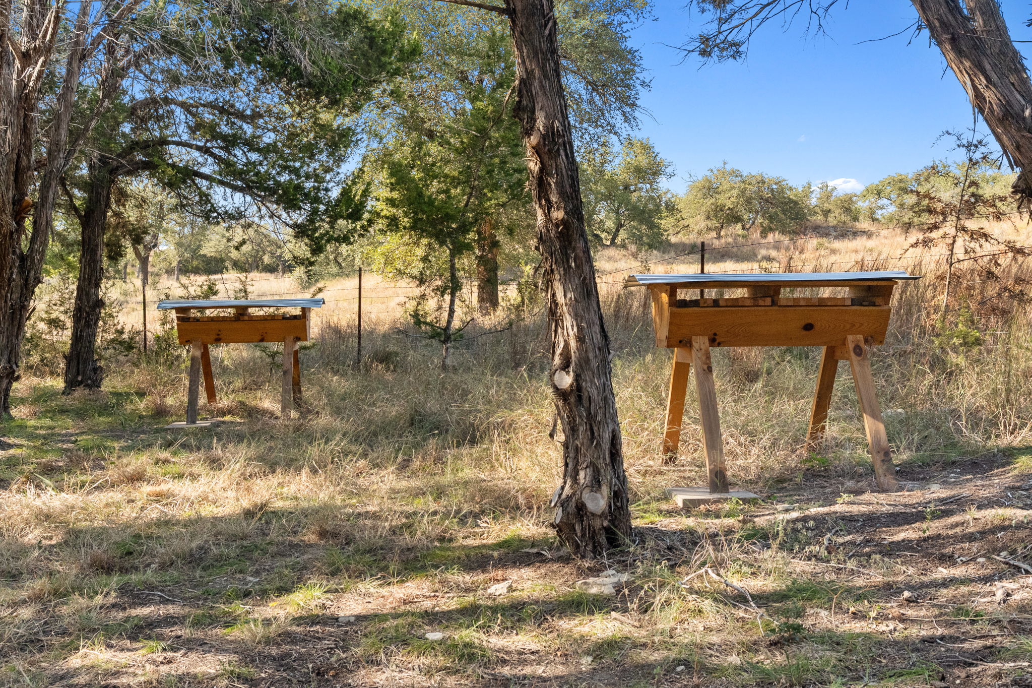 503 Happy Trail Dripping Springs, TX 78620 - Photo 36 of 38 Two wooden beehives, each with a silver-toned metal roof, are situated within a natural, tree-lined landscape