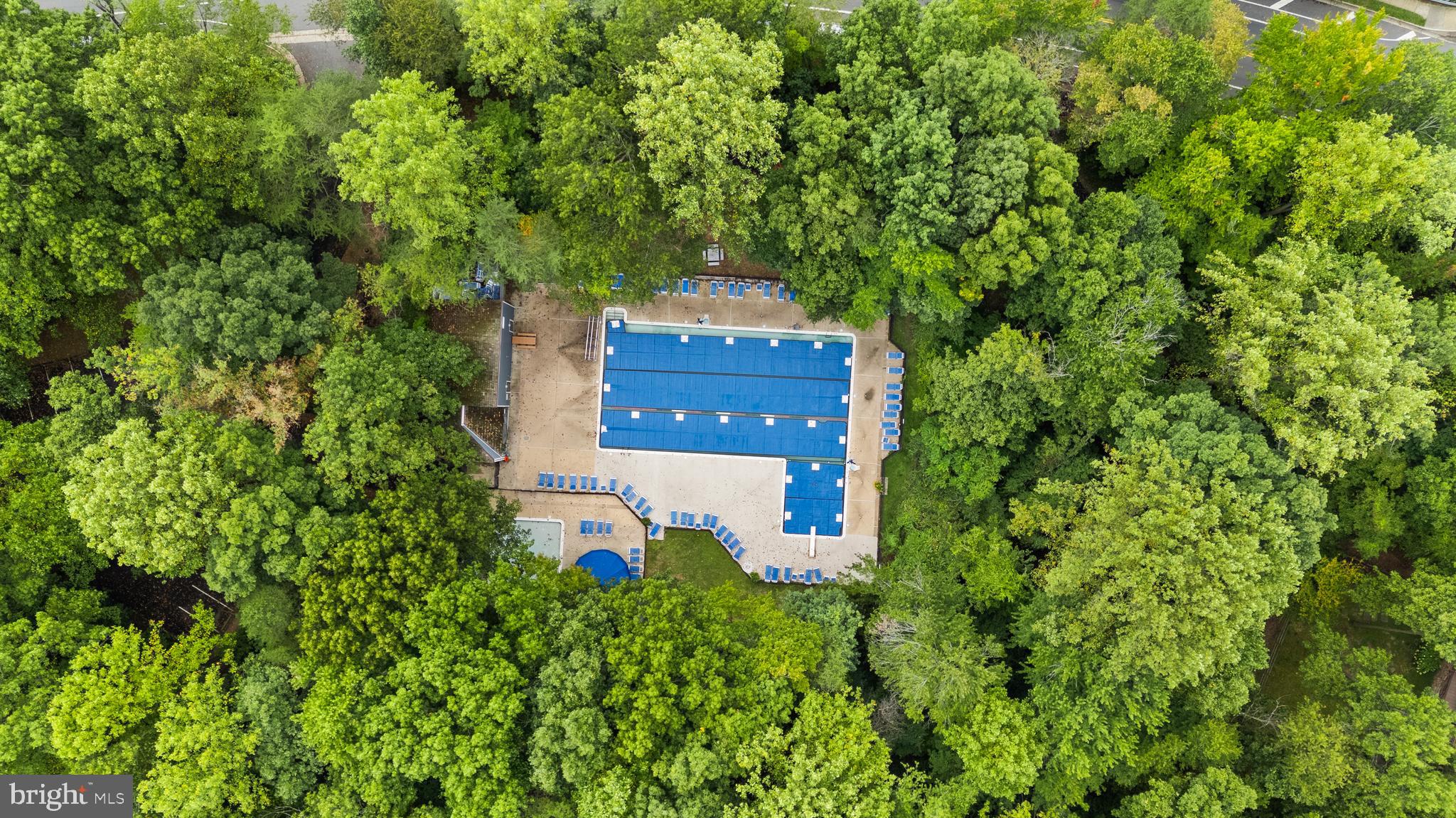 2031 Swans Neck Way Reston, VA 20191 - Photo 63 of 67 Ridge Heights Pool