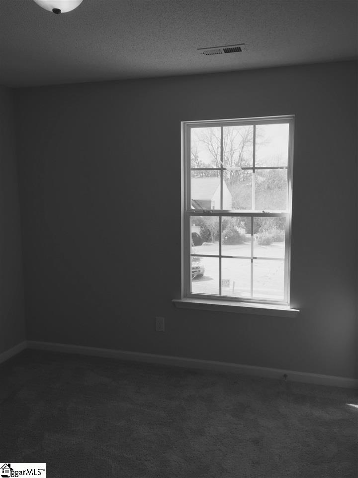 4 Wheat Cressing Court Greenville, SC 29607 - Photo 12 of 18 Gallery Image 12