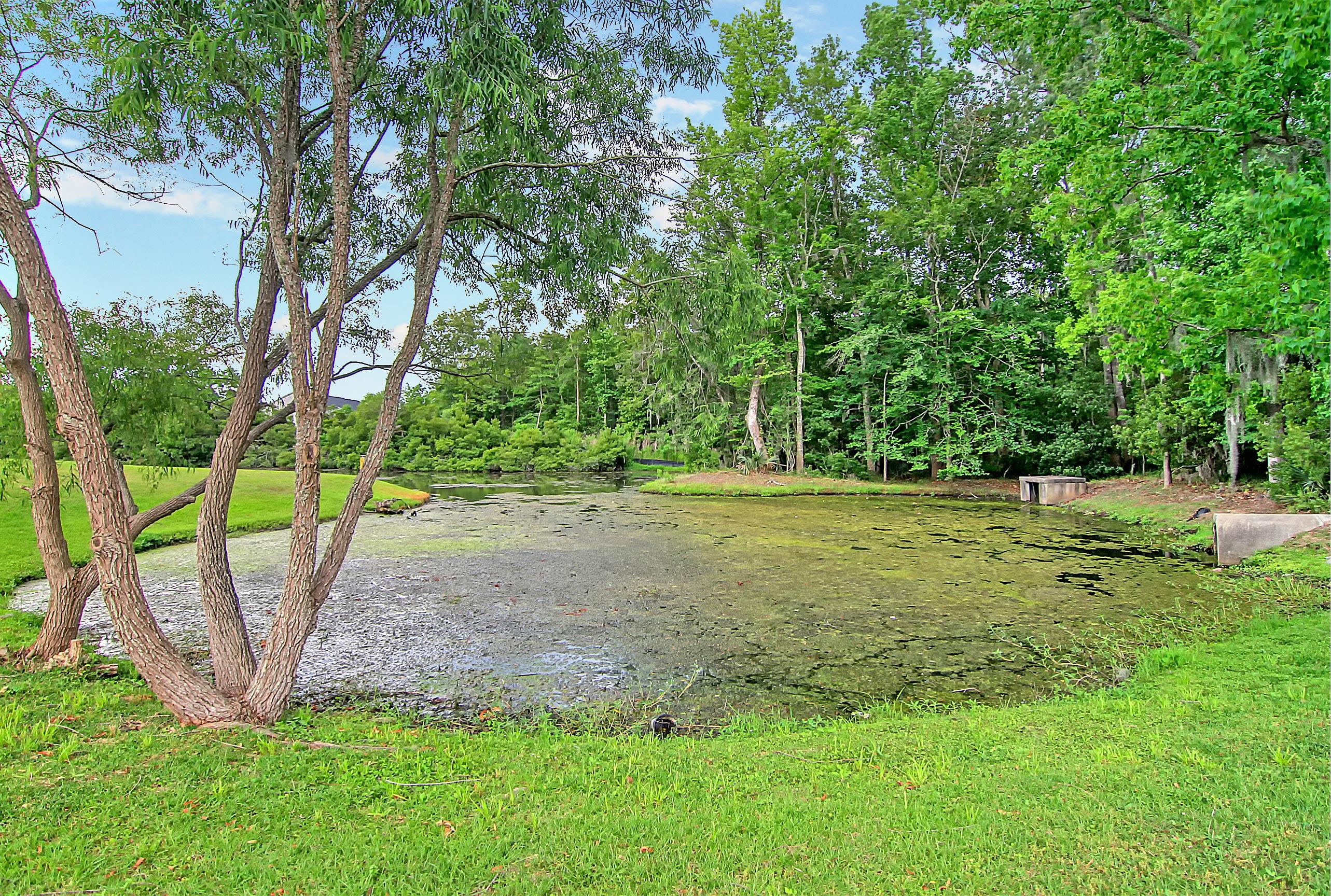 8020 Vermont Road North Charleston, SC 29418 - Photo 34 of 40 CREM_8020 Vermont Rd_011