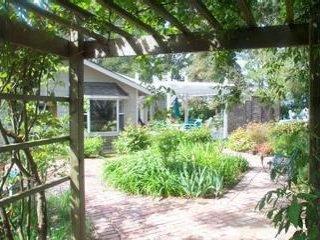 245 Willowside Road Santa Rosa, CA 95401 - Photo 3 of 4 a view of a garden with a tree in front of it