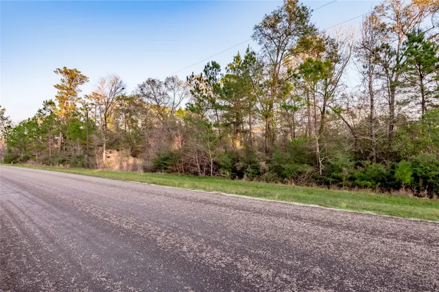 a view of a field with trees in the background