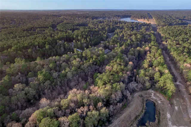 a view of a city with lush green forest