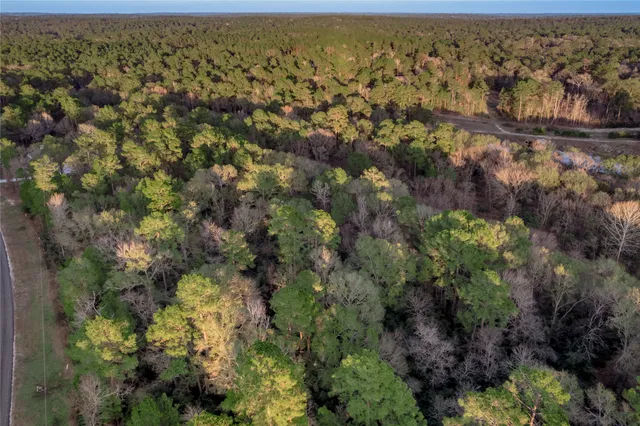 a view of a city with lush green forest