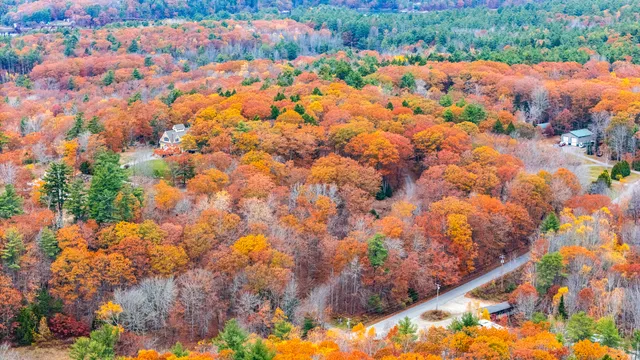 $280,000 | Lot #3 Bay View Trail, Edgecomb, ME 04556