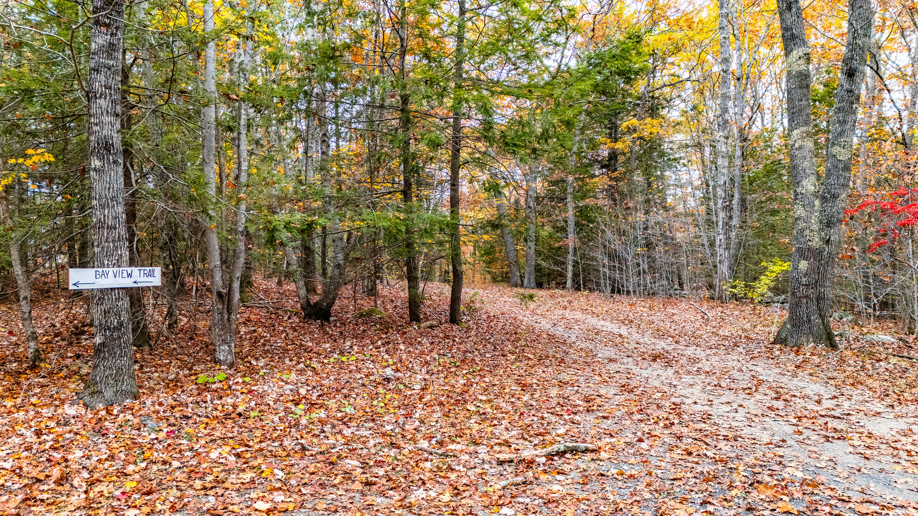Lot #3 Bay View Trail Edgecomb, ME 04556 - Photo 14 of 48 Bay View Trail Edgecomb 014