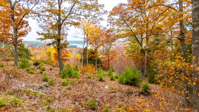 $280,000 | Lot #3 Bay View Trail, Edgecomb, ME 04556