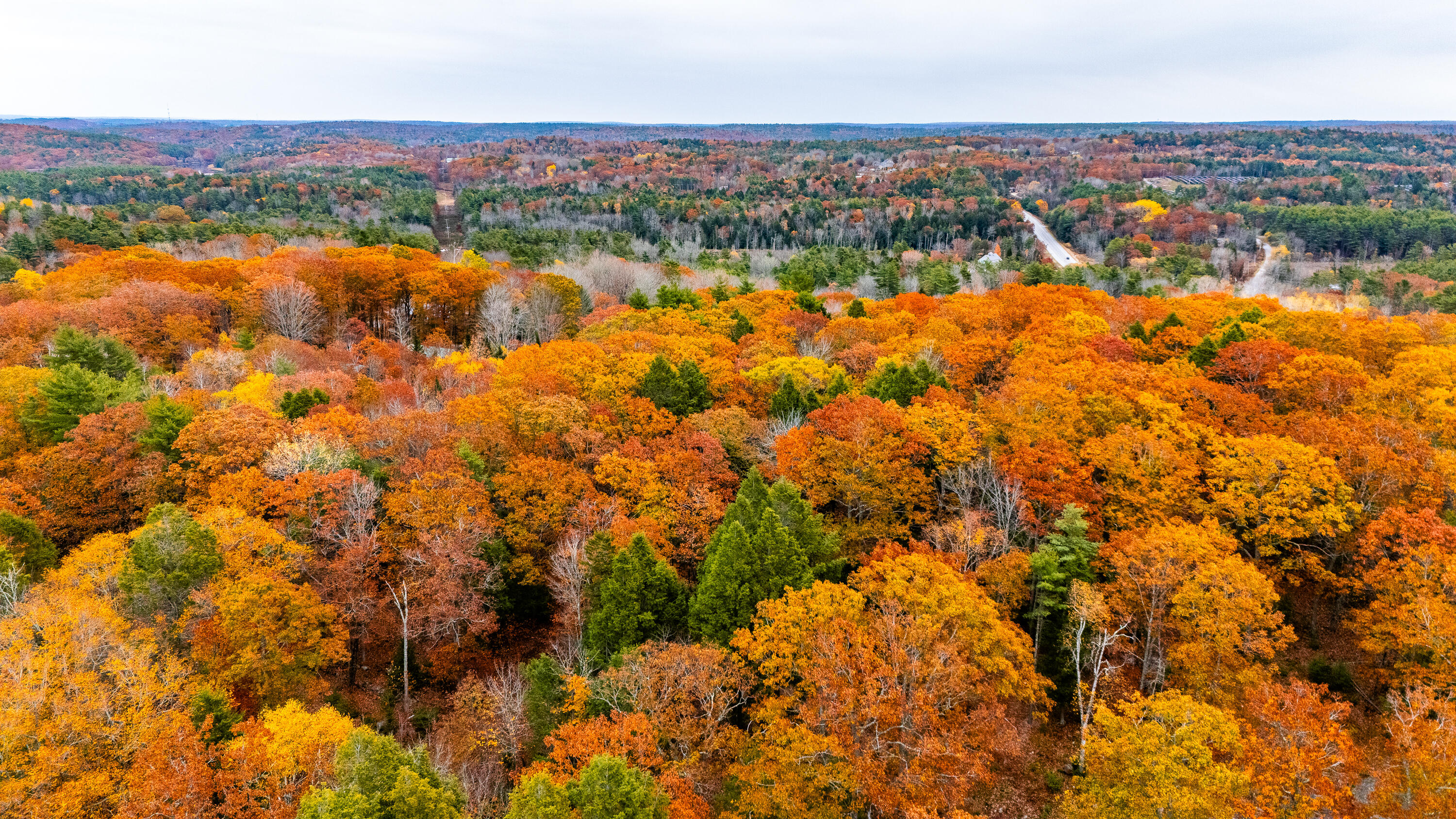 Lot #3 Bay View Trail Edgecomb, ME 04556 - Photo 30 of 48 Bay View Trail Edgecomb 030