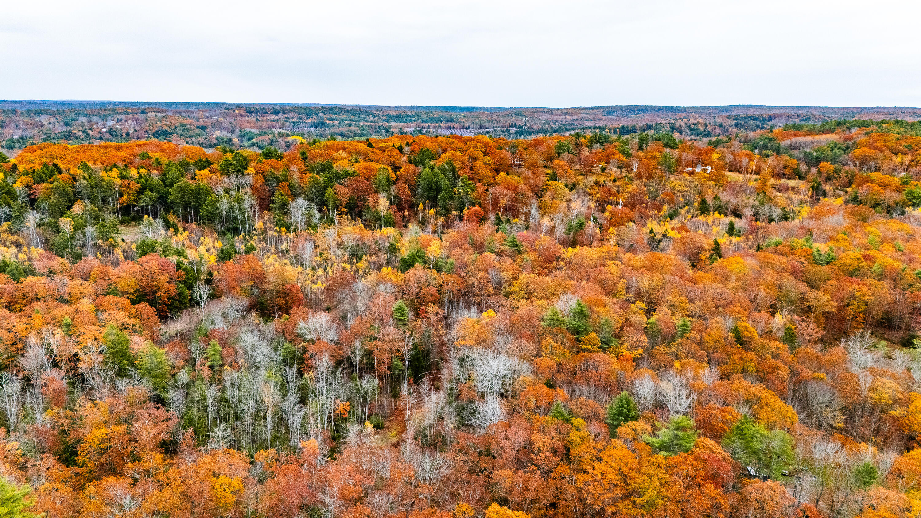Lot #3 Bay View Trail Edgecomb, ME 04556 - Photo 37 of 48 Bay View Trail Edgecomb 037