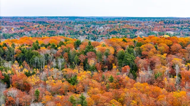 $280,000 | Lot #3 Bay View Trail, Edgecomb, ME 04556