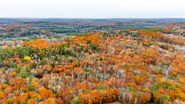 $280,000 | Lot #3 Bay View Trail, Edgecomb, ME 04556