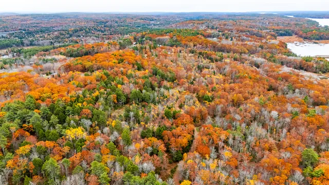 $280,000 | Lot #3 Bay View Trail, Edgecomb, ME 04556