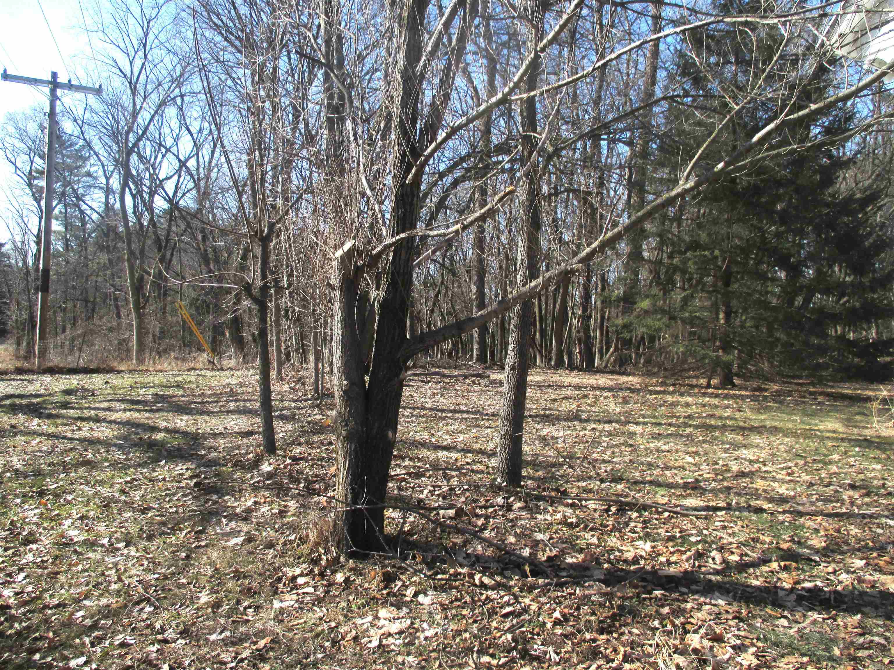 W5042 Fern Avenue Montello, WI 53949 - Photo 5 of 17