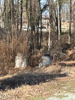 0 Garrett Street Roxboro, NC 27573 - Photo 2 of 14 a view of a yard with lots of bushes