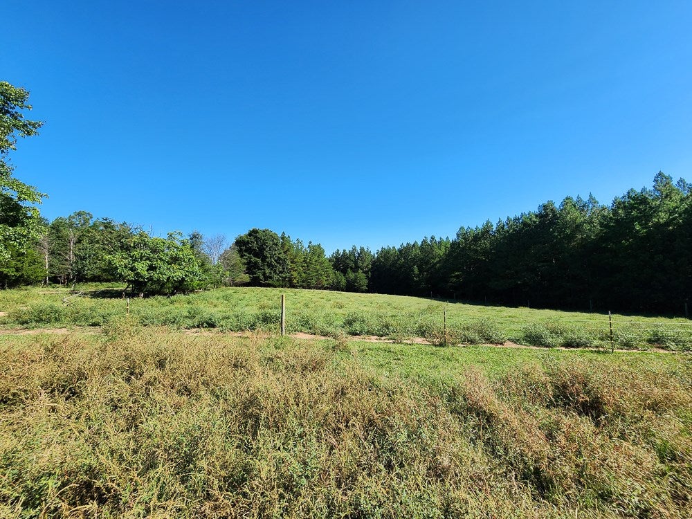4465 Harmony Road Long Island, VA 24569 - Photo 12 of 51 Gallery Image 12