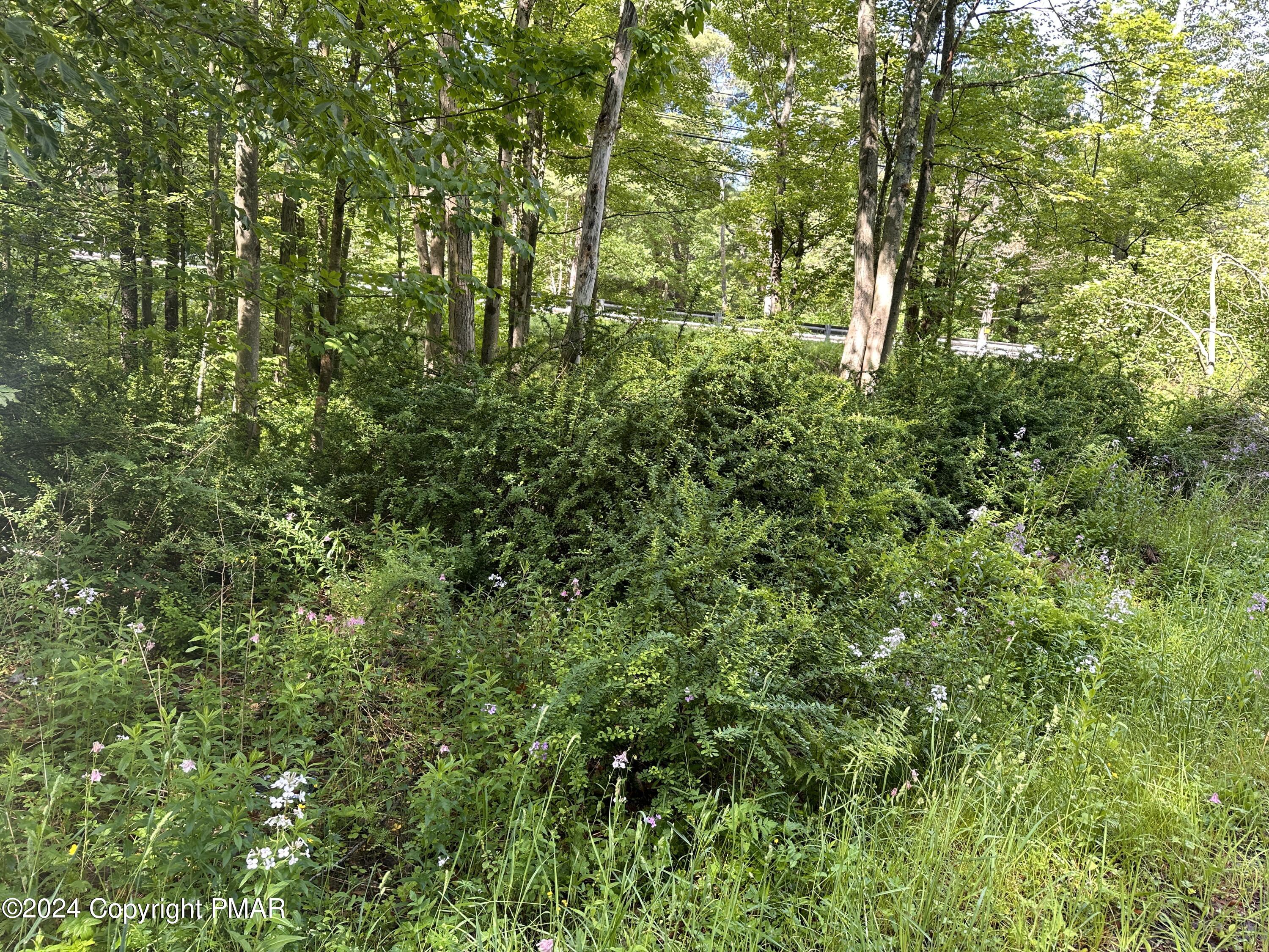629 Thomas Road Blakeslee, PA 18610 - Photo 23 of 36 IMG_8075
