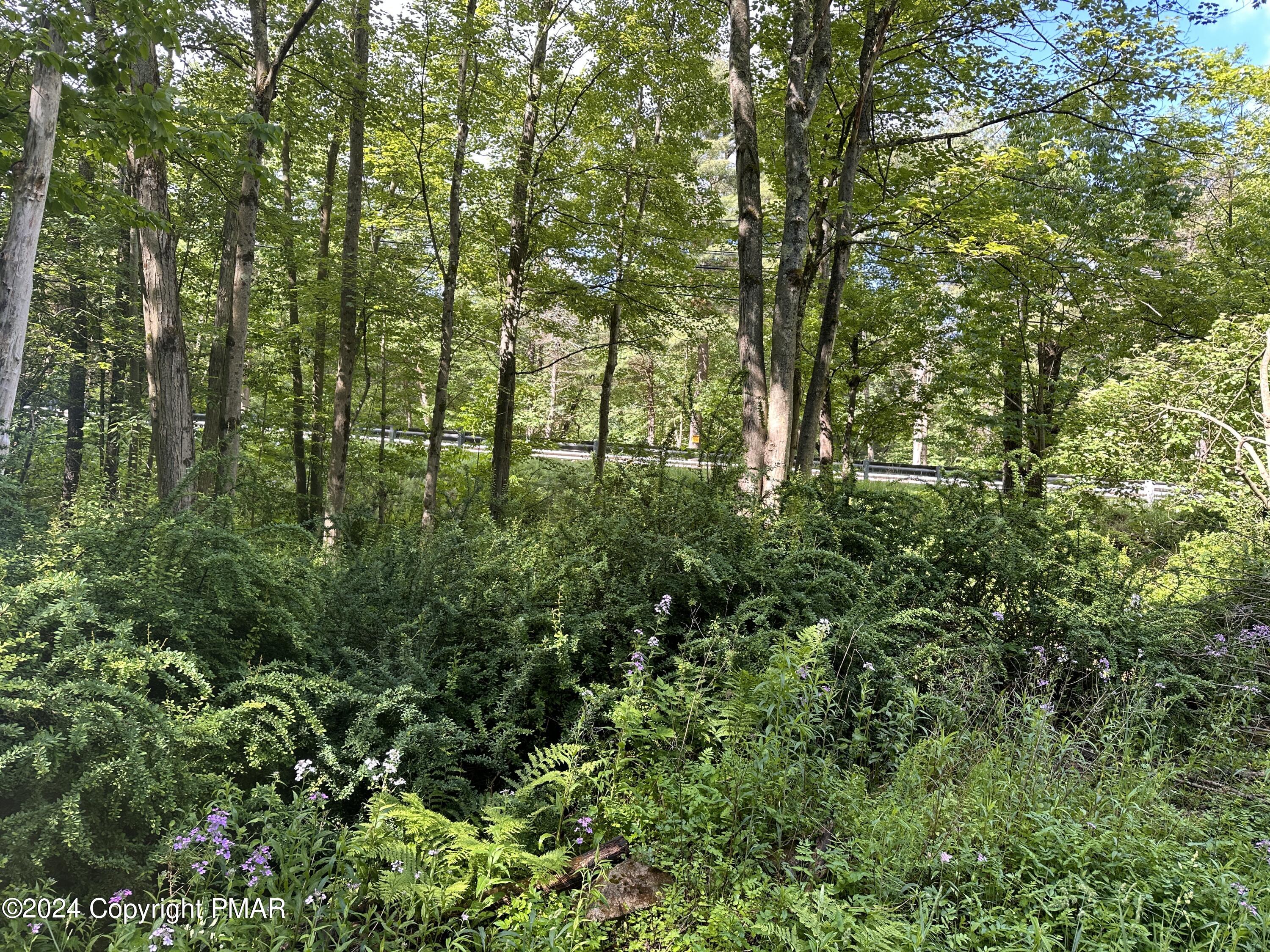 629 Thomas Road Blakeslee, PA 18610 - Photo 25 of 36 IMG_8077