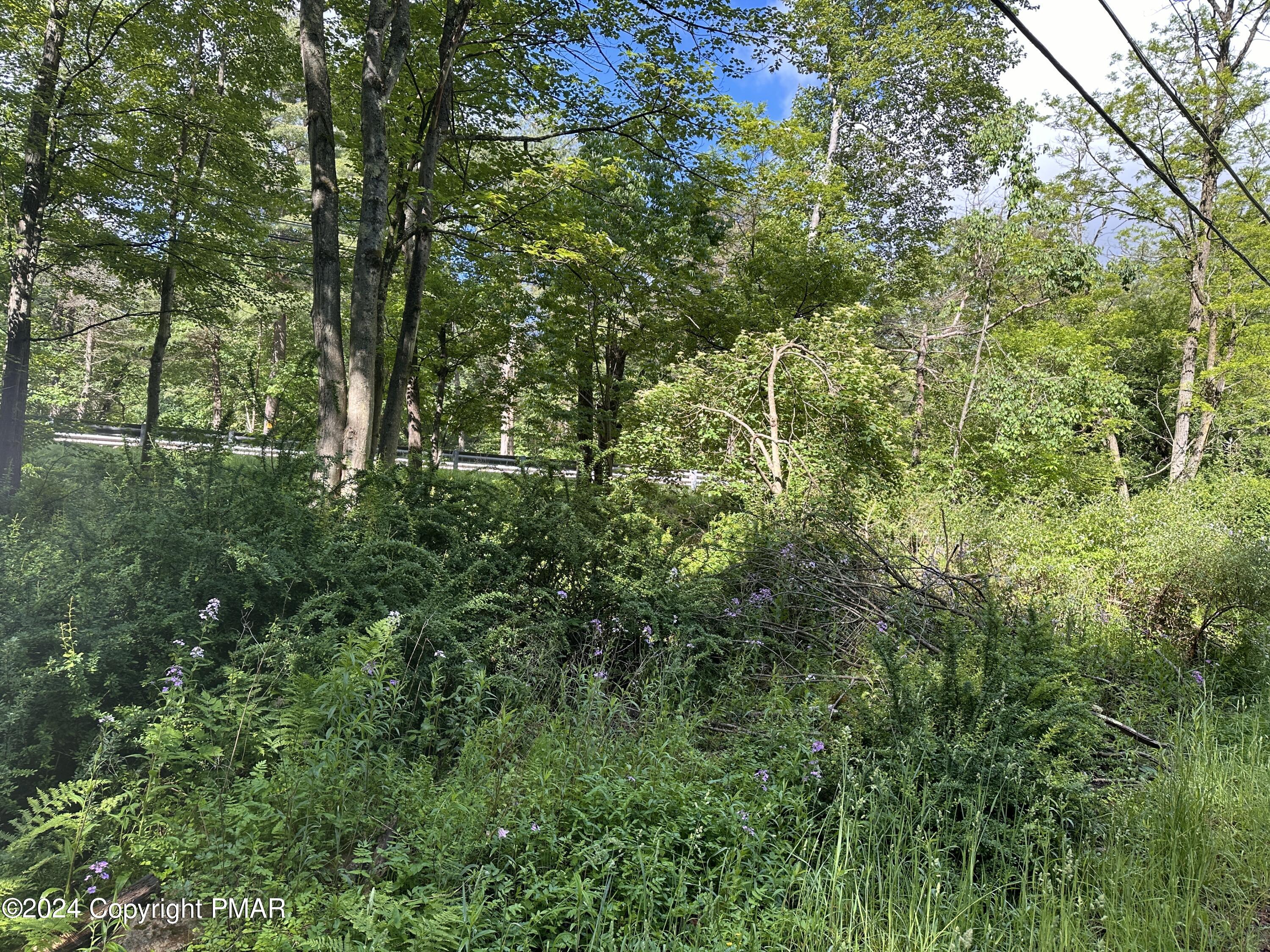629 Thomas Road Blakeslee, PA 18610 - Photo 26 of 36 IMG_8078