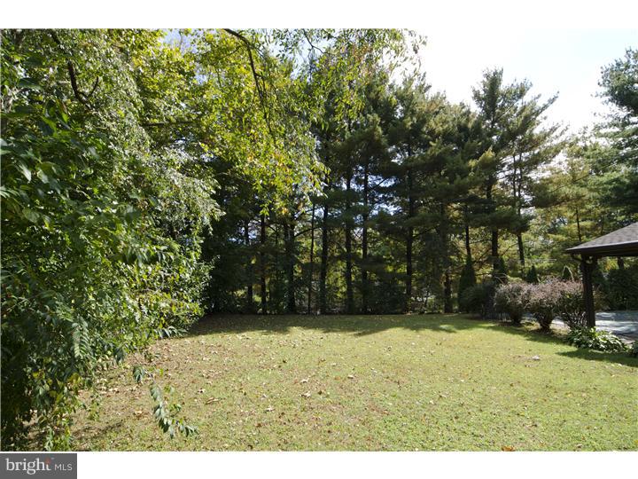 1128 Sparrow Road Audubon, PA 19403 - Photo 16 of 20 View in Back