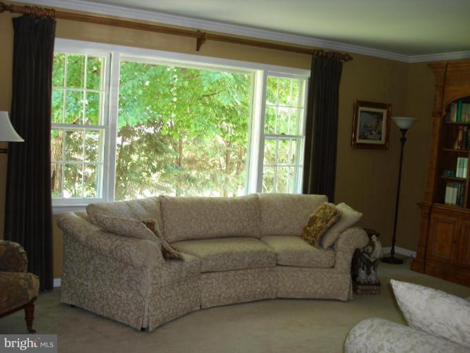 7337 Pinecastle Road Falls Church, VA 22043 - Photo 14 of 30 Living Room #2