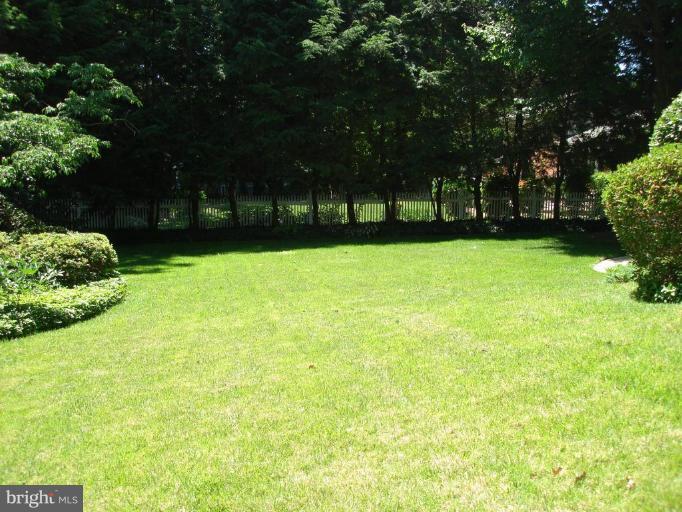 7337 Pinecastle Road Falls Church, VA 22043 - Photo 2 of 30 Back yard