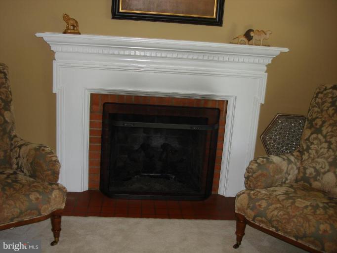 7337 Pinecastle Road Falls Church, VA 22043 - Photo 7 of 30 Fireplace