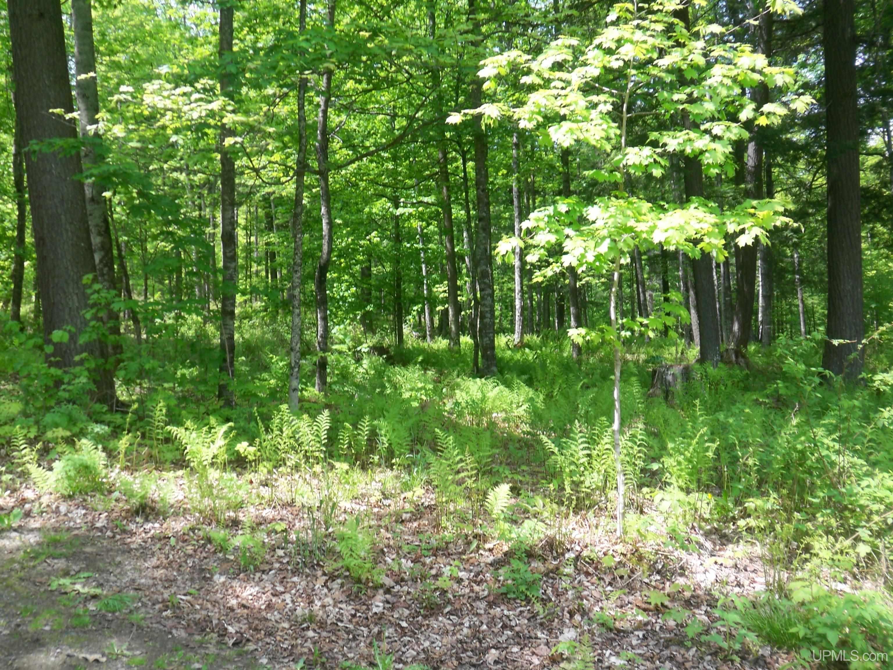 T-wi Oak Valley Florence, WI 54121 - Photo 1 of 1